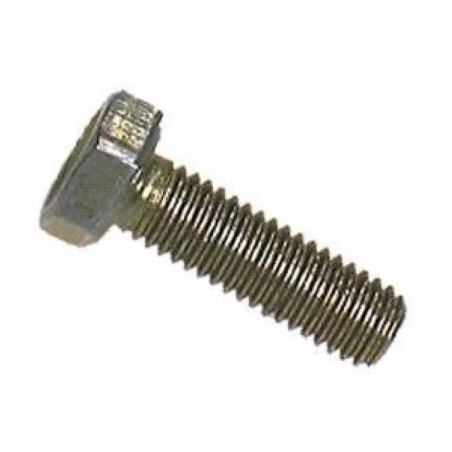 LADA NIVA 4X4, 2101-2191  M6*20*1.25 bolt for chain calmer