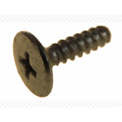 LADA NIVA 4X4, 2103-21099  Self-tapping screw for mounting the visor